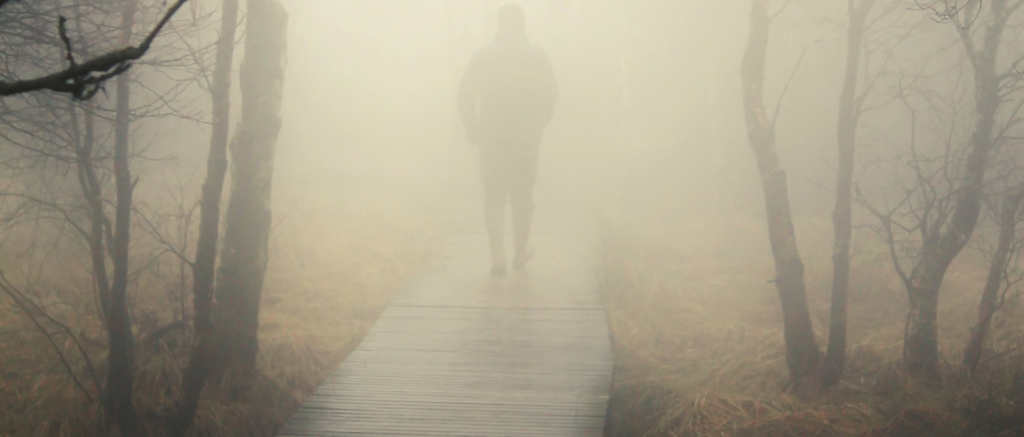 gut feeling you trust foggy path human walking alone