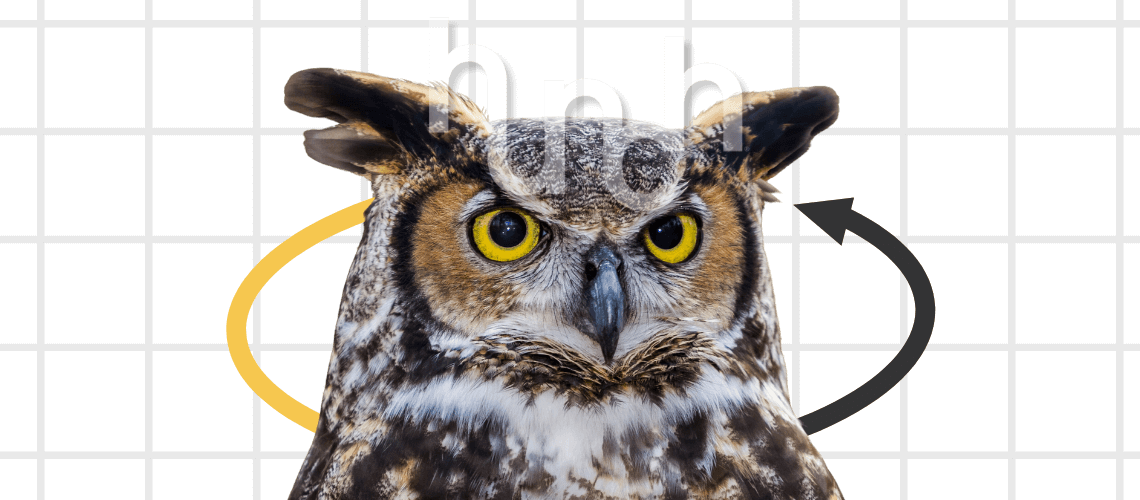 owl, hunch, intuition, hunch brand, owl instincts, dream symbol, follow your hunch, neck rotation